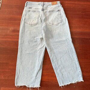 the curvy perfect vintage wide leg light wash madewell jean